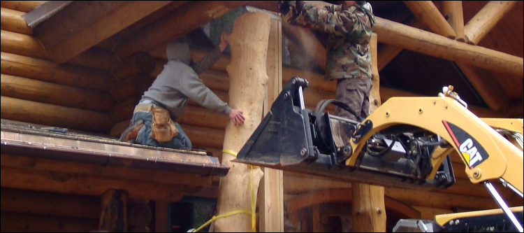 Log Home Log Replacement  Gibsonville,  North Carolina